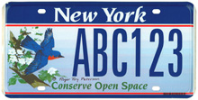 New York Bluebird sample plate